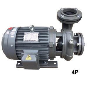 Máy bơm ly tâm trục ngang đầu gang Teco 4P