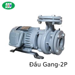 Máy bơm ly tâm trục ngang đầu gang GSD 2P
