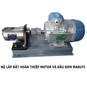 Máy bơm dầu đầu inox 316 Maruti MESX-050 1.5HP 2
