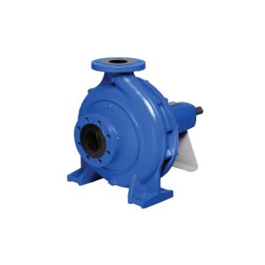 Đầu bơm rời trục Ebara GS