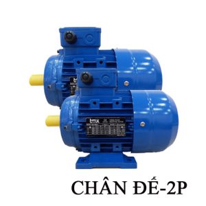 Motor chân đế TMX 2P