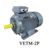 Motor chân đế Zener VETM-2P