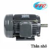 Motor chân đế thân nhỏ 4 Pole VTC NT50 1/2HP