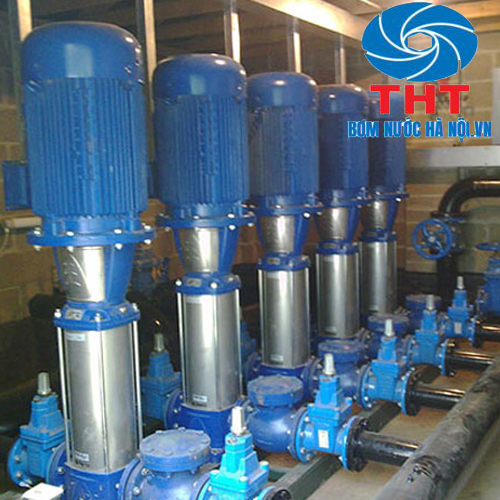 Máy bơm trục đứng Maro