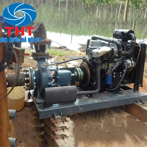 Máy bơm chữa cháy diesel Ebara