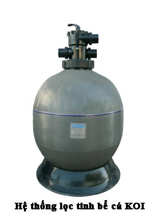 Hệ thống lọc tinh bể cá Koi Waterco S900 2