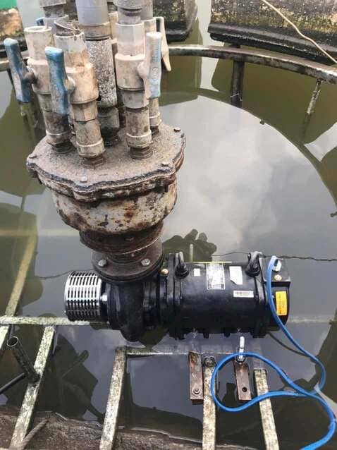 Máy bơm chìm trục ngang Lubi LHL-154 1HP 220V 2