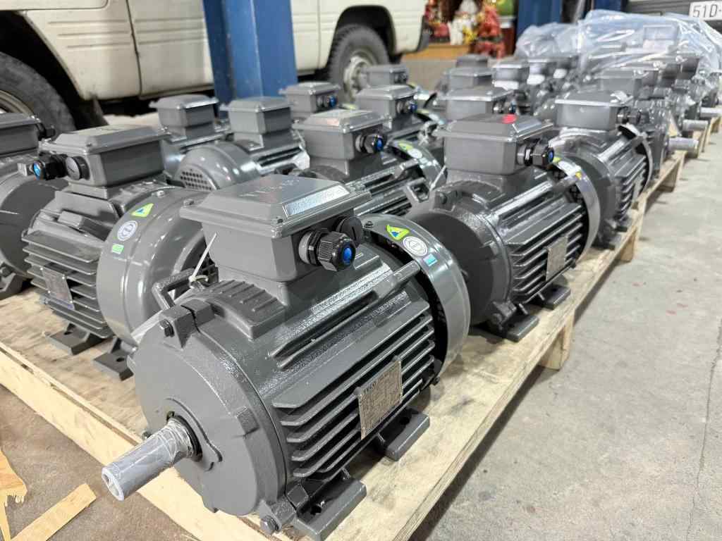 Motor chân đế Teco 1HP 4P 380V 2